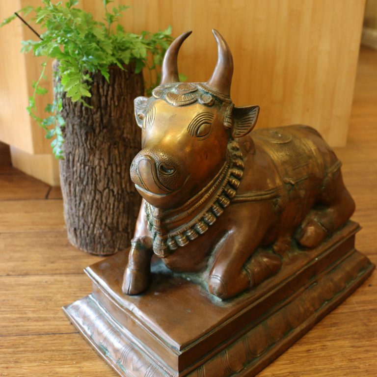About Nandi Nandi Yoga